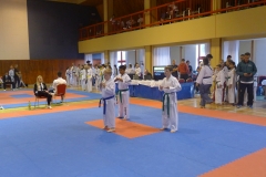 Moravia poomsae cup Hradec n.Moravicí 2017