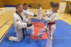 TKD WT - Ukázková hodina pro rodiče 